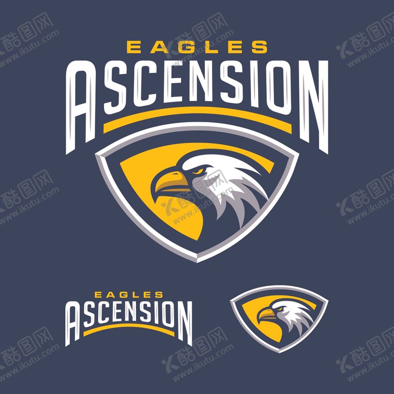编号：23182109250748097802【酷图网】源文件下载-雄鹰LOGO