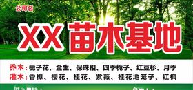公园苗木