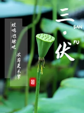三伏天