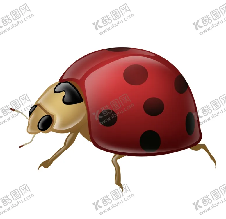 编号：22254104280633584857【酷图网】源文件下载-手绘七星瓢虫