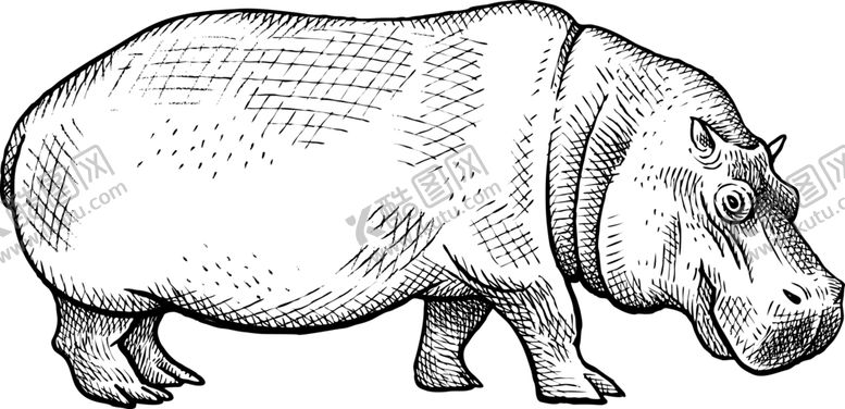 编号：57719810031043058470【酷图网】源文件下载-河马