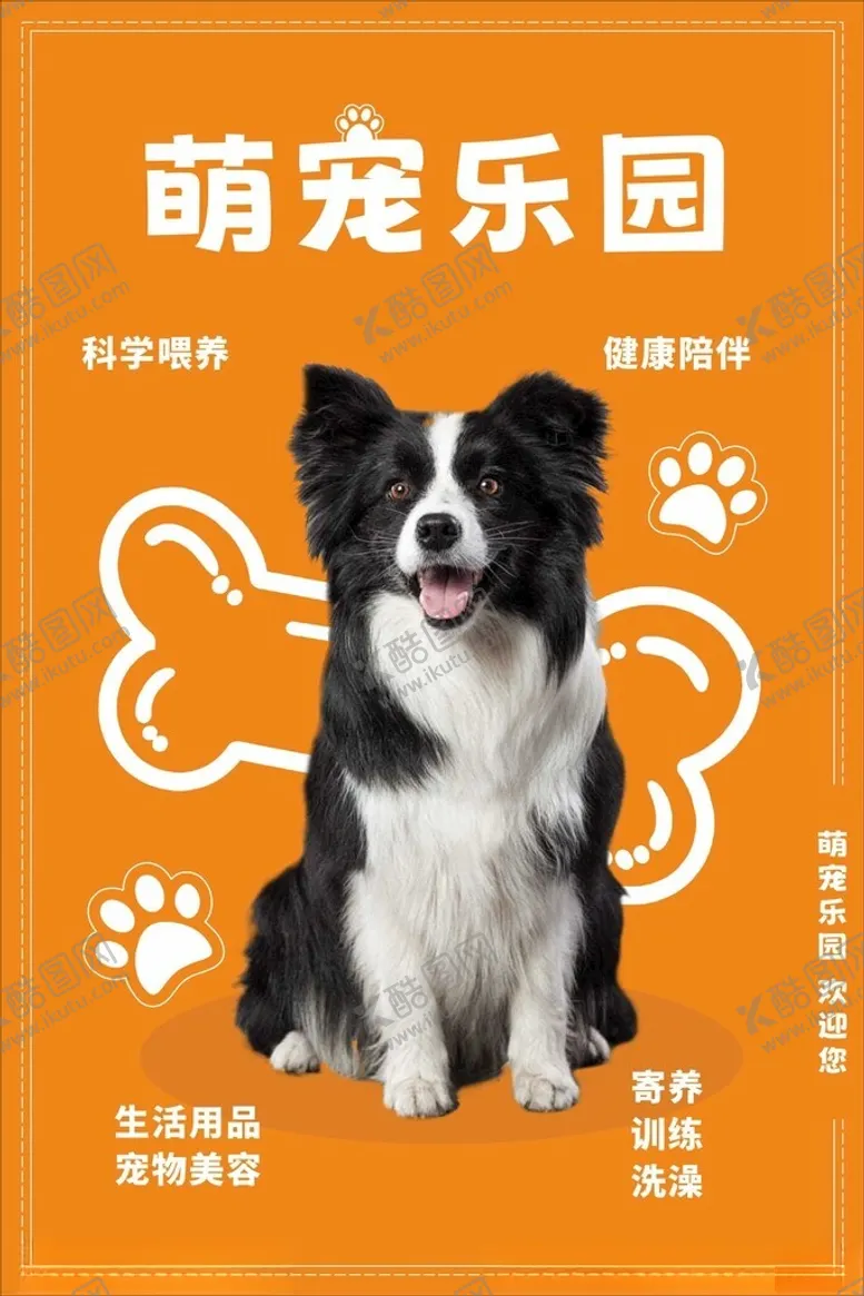 编号：93709902051412397670【酷图网】源文件下载-宠物店海报