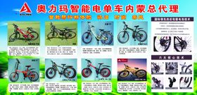 绿威电池电动车