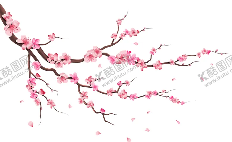 编号：36278409260611197193【酷图网】源文件下载-梅花矢量图