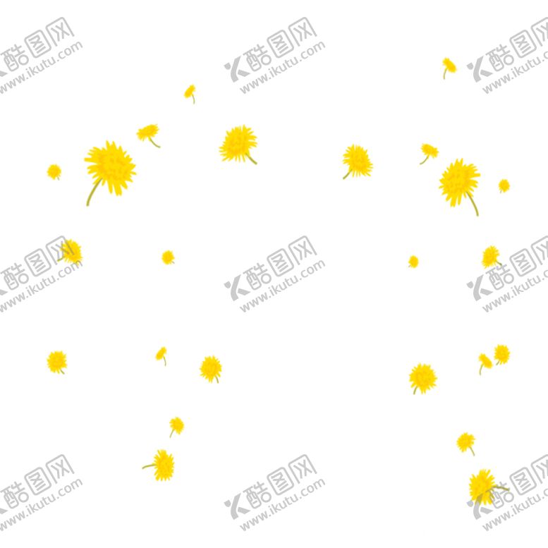 编号：99712910120615332639【酷图网】源文件下载-菊花素材