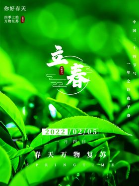 立春中国传统节气广告天海报