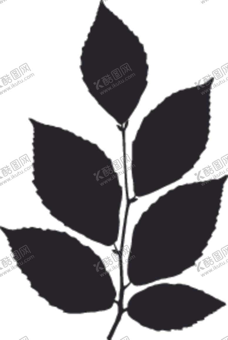 编号：37000210260446216166【酷图网】源文件下载-植物系列树叶