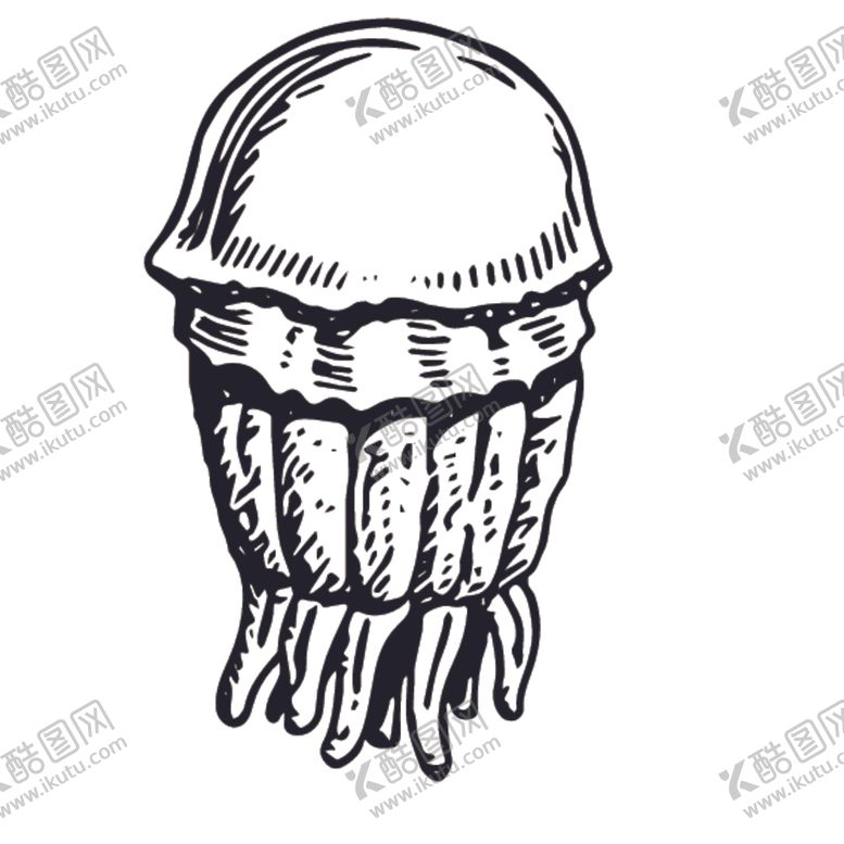 编号：79778209181909317756【酷图网】源文件下载-海洋生物鱼类图案