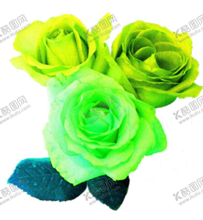 编号：14755409162113545206【酷图网】源文件下载-花素材