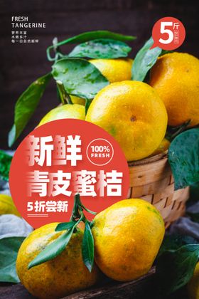 蜜桔水果活动宣传海报素材