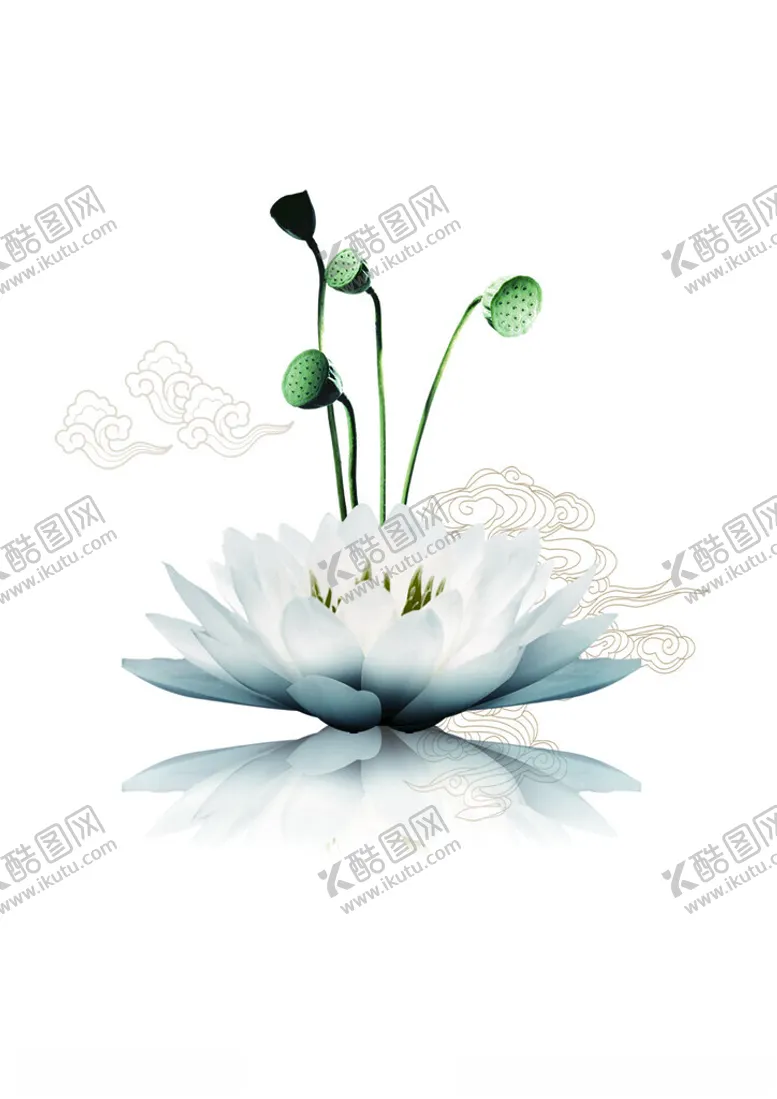 编号：42145902130811186420【酷图网】源文件下载-荷花底纹