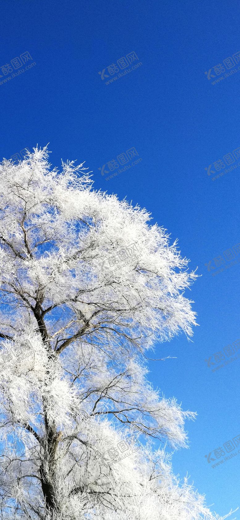 编号：92246007030623019018【酷图网】源文件下载-手机壁纸