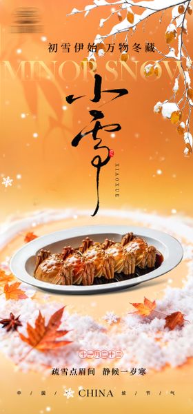 小雪美食海报