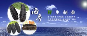 海参美食海报 