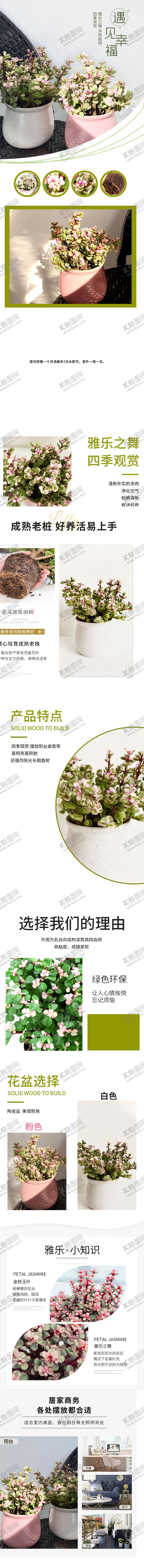 编号：26422310271734286350【酷图网】源文件下载-电商花卉绿植详情页 