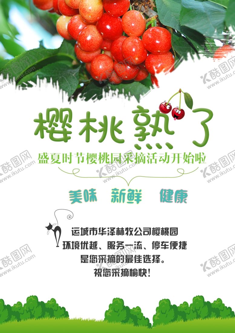 编号：20084406250729352805【酷图网】源文件下载-樱桃熟了