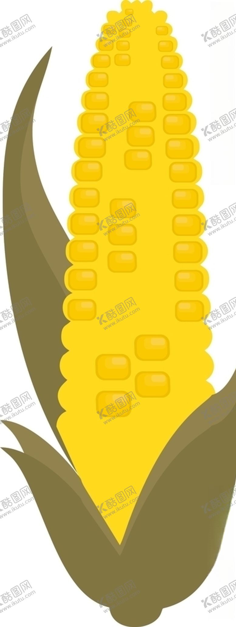 编号：96217210051352223253【酷图网】源文件下载-玉米