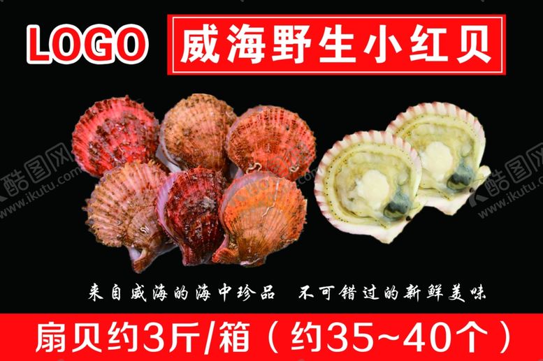 编号：65404609292221258262【酷图网】源文件下载-威海野生小红贝