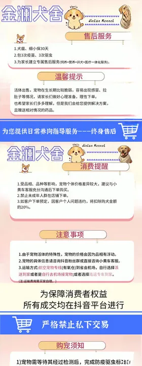 宣传海报宠物板式可爱