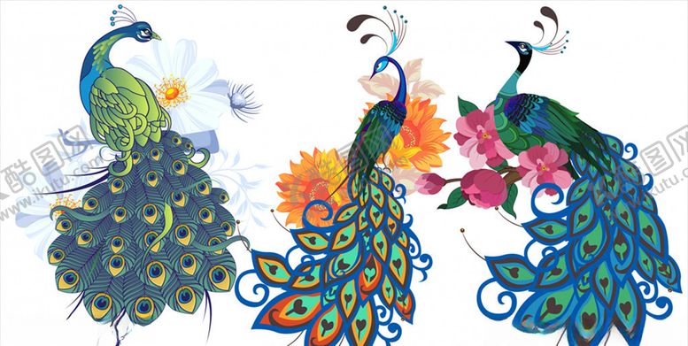 编号：84249110040258022566【酷图网】源文件下载-卡通花卉孔雀
