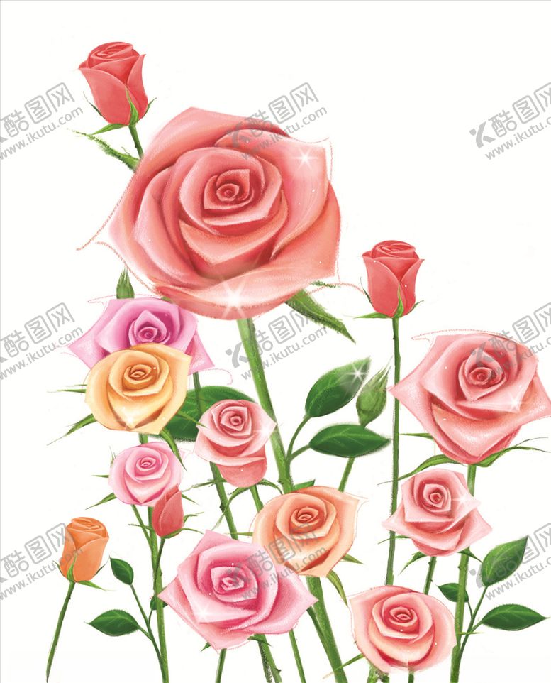 编号：55072510060234373179【酷图网】源文件下载-手绘玫瑰花