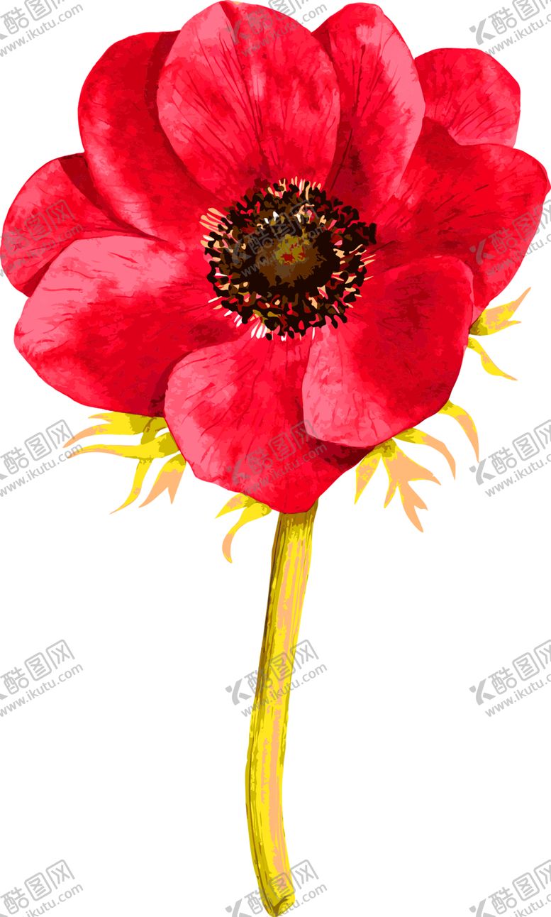 编号：36085609202114331887【酷图网】源文件下载-鲜花装饰