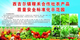 蔬菜合作社招牌