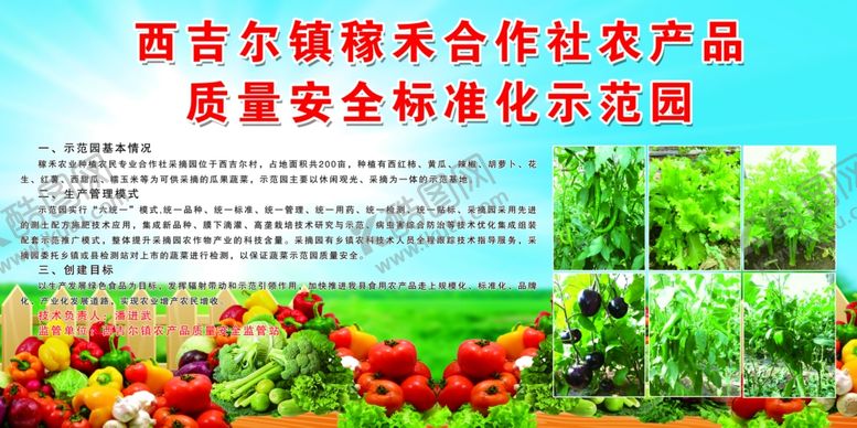 编号：96262905011406299778【酷图网】源文件下载-蔬菜合作社蓝天白云草地