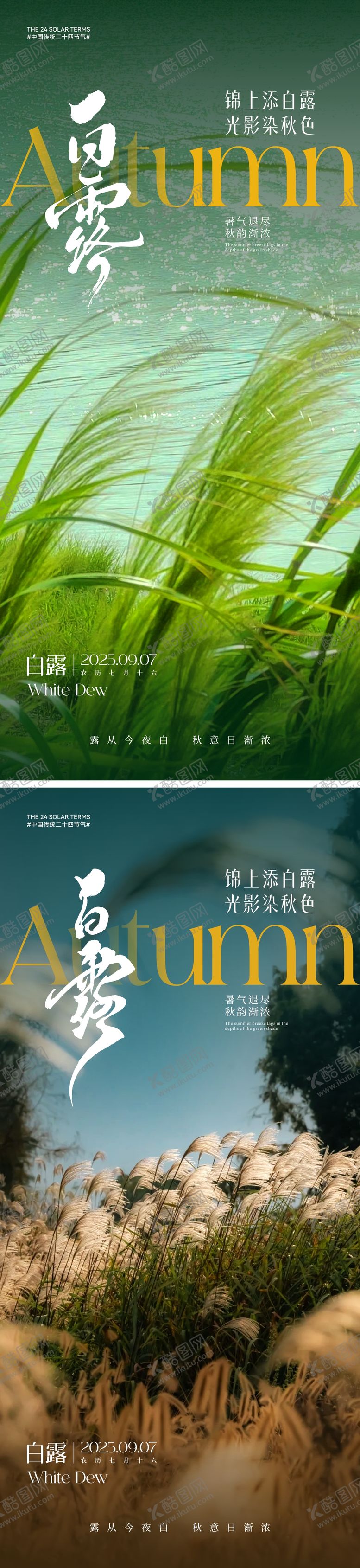 编号：13249807211322402398【酷图网】源文件下载-白露节气海报
