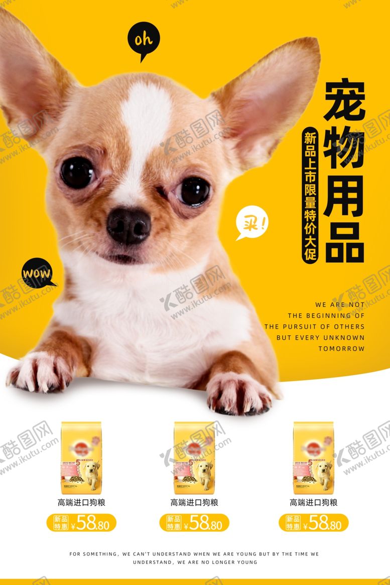 编号：88261701270307216441【酷图网】源文件下载-宠物海报