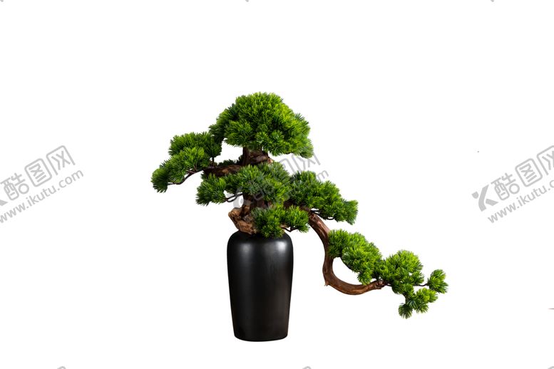 编号：81648709280006228042【酷图网】源文件下载-古树盆景