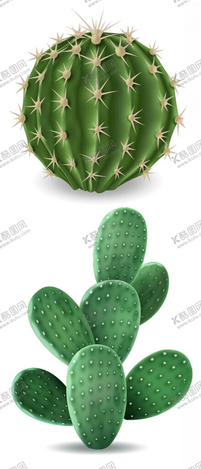 编号：50412901250749527953【酷图网】源文件下载-植物