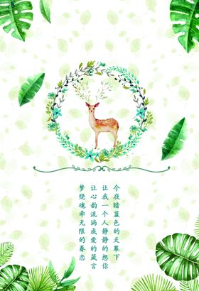 小鹿