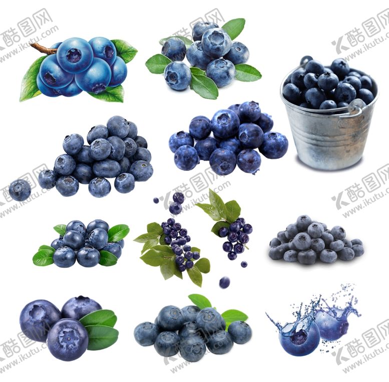 编号：66727210240855438851【酷图网】源文件下载-蓝莓