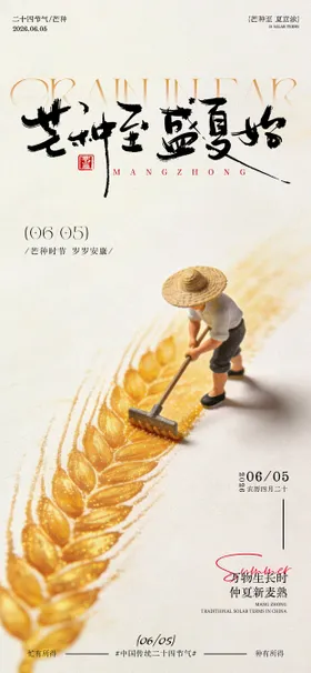 芒种中国节气插图海报设计