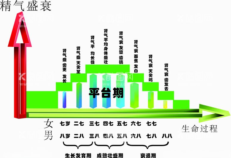 编号：84647512191720572195【酷图网】源文件下载-精气盛衰