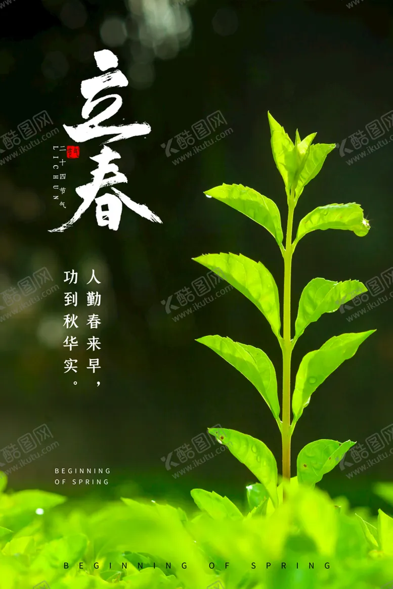 编号：59041809280108107214【酷图网】源文件下载-  立春插画图片