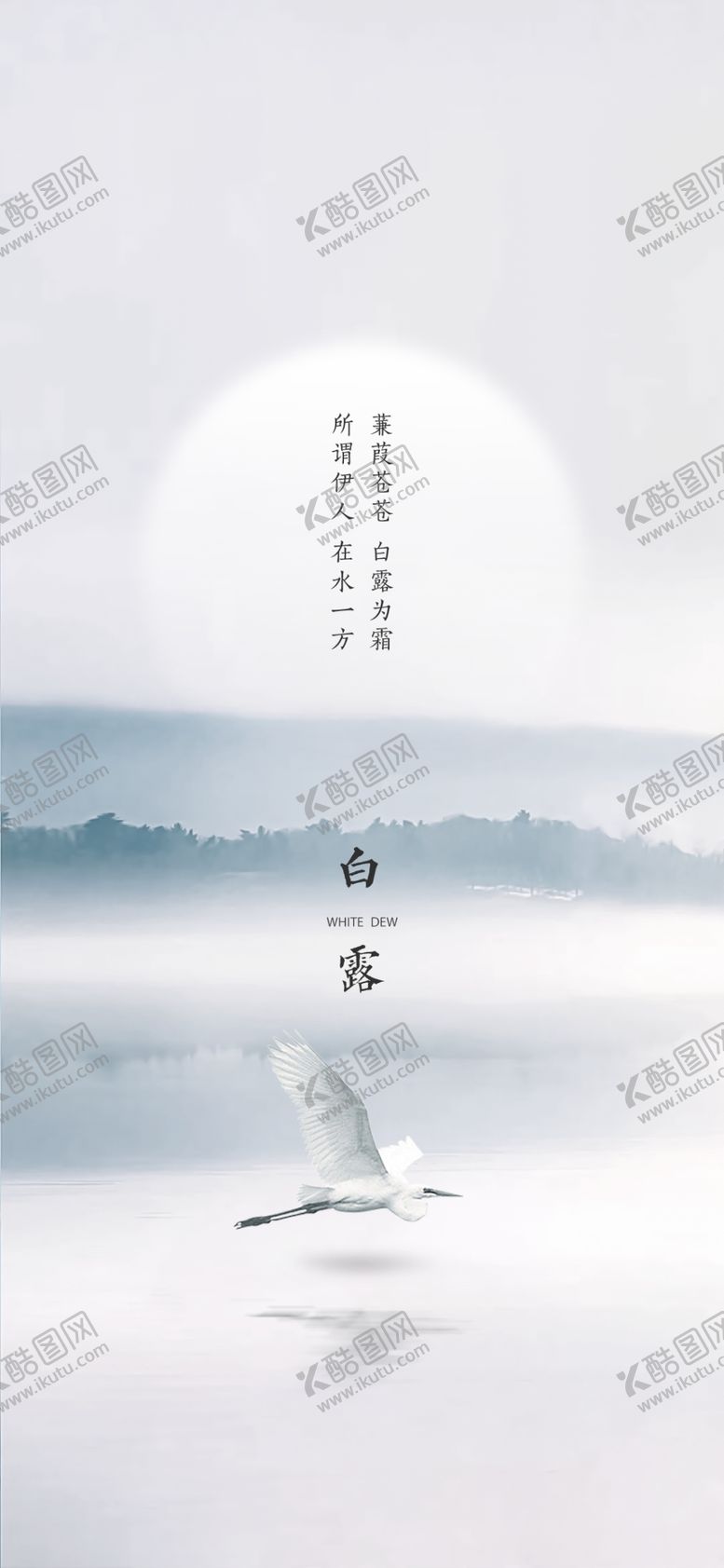 编号：24108402202052523158【酷图网】源文件下载-白露地产海报展架画面