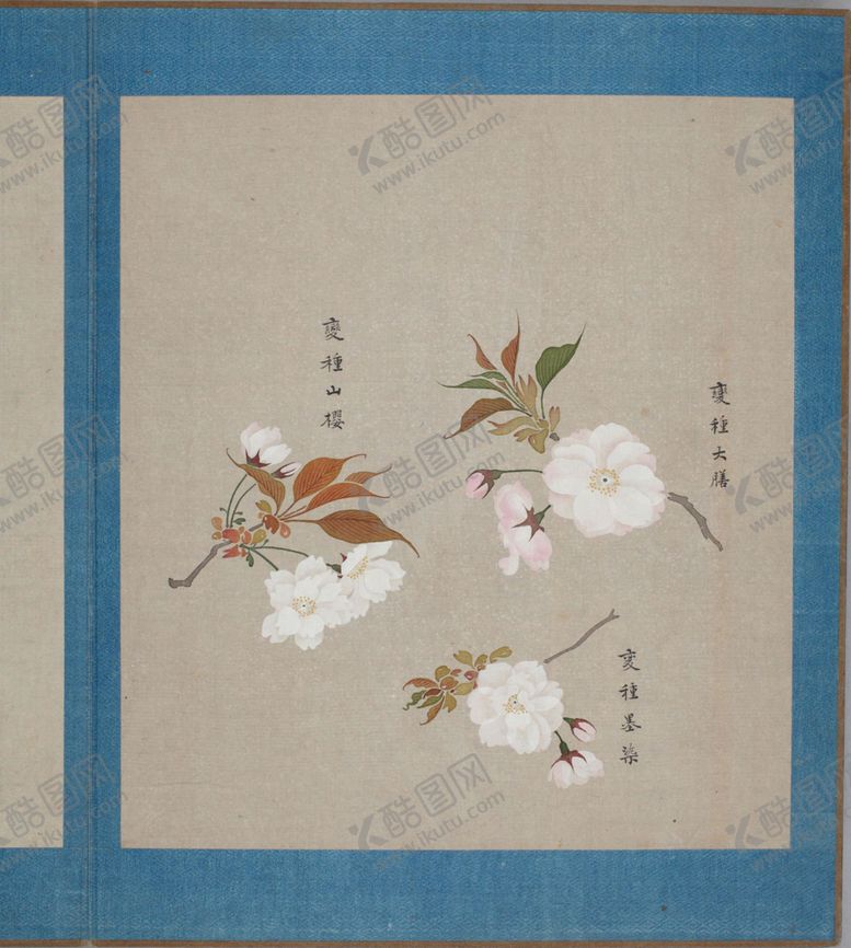 编号：31237404261221482402【酷图网】源文件下载-樱花