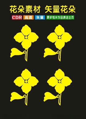 插花花植物花