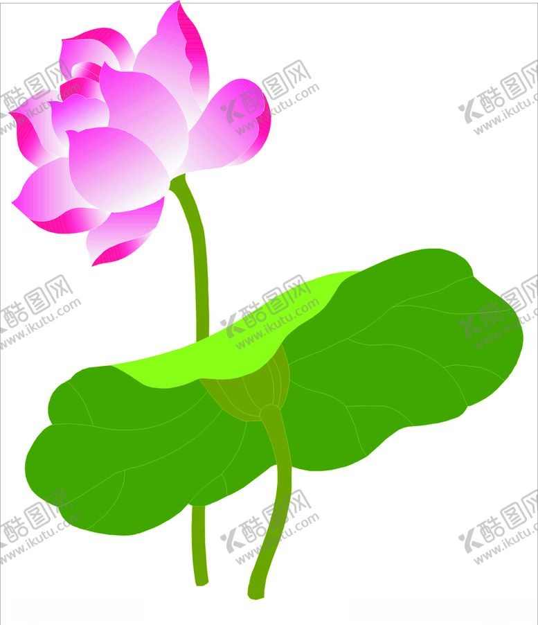 编号：13164809271239227508【酷图网】源文件下载-荷花