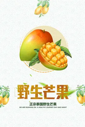 芒果海报田东百色包装节