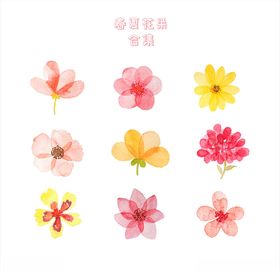 手绘鲜艳花朵合集