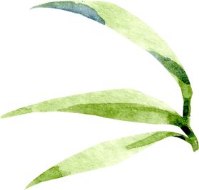 手绘竹叶底纹