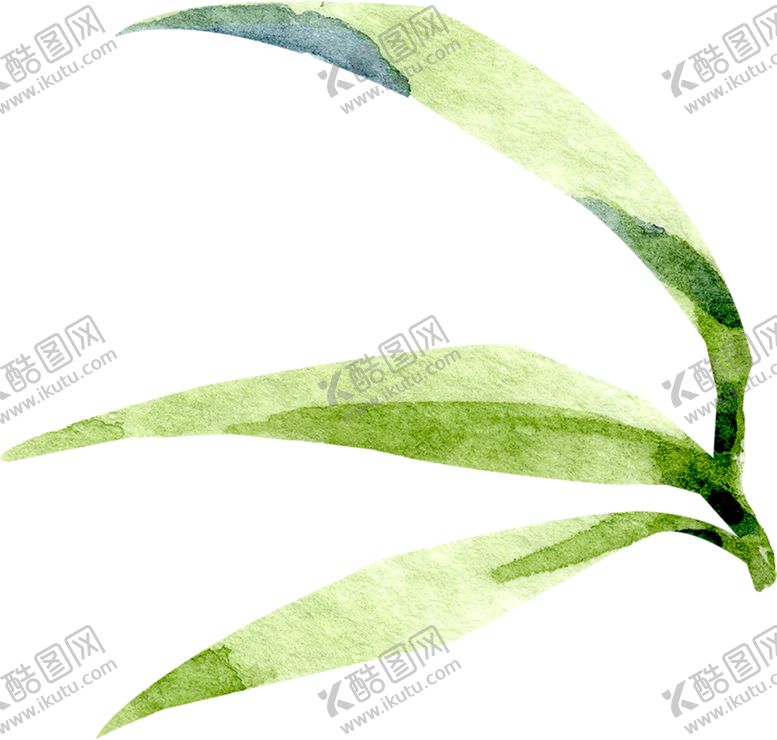 编号：28796010242322158879【酷图网】源文件下载-手绘水彩竹叶
