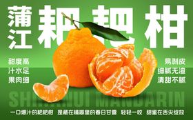 蒲江耙耙柑新鲜诱人