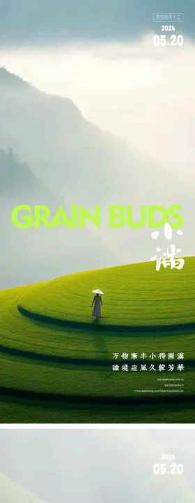 小满海报人物二十四节气梯田