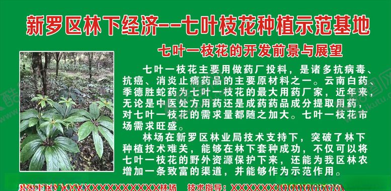 编号：71743005171708467981【酷图网】源文件下载-林业