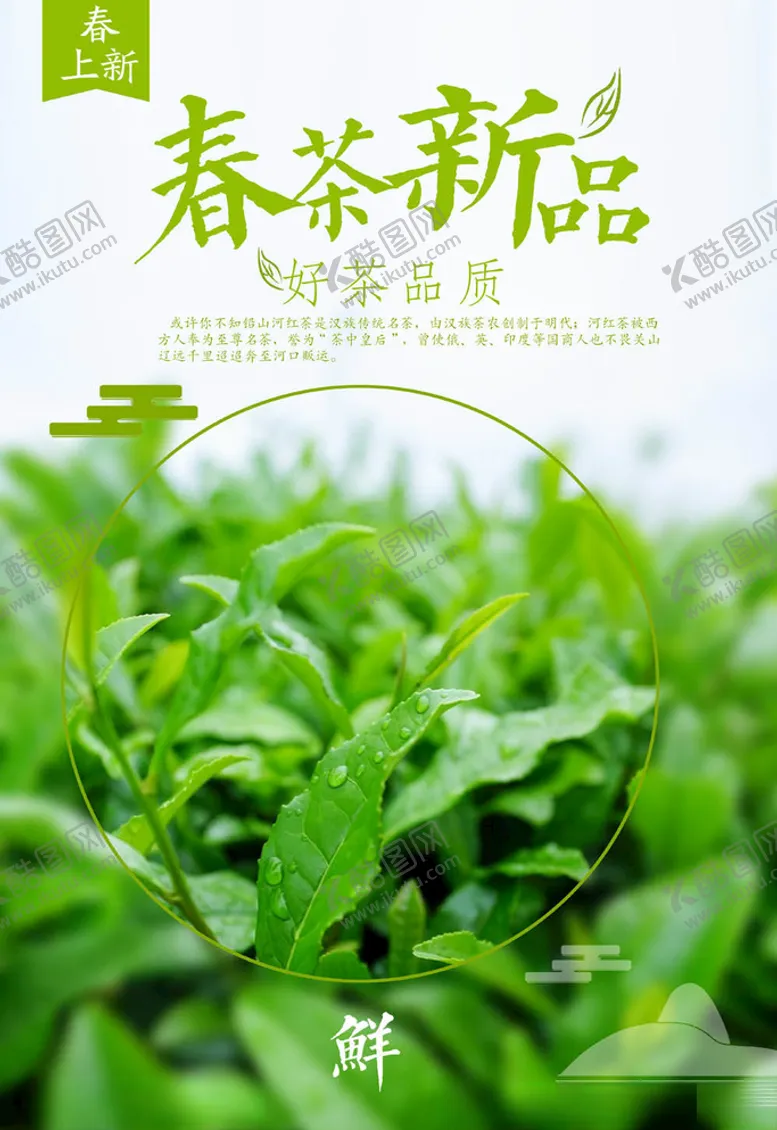 编号：11374405020623556570【酷图网】源文件下载-茶叶海报