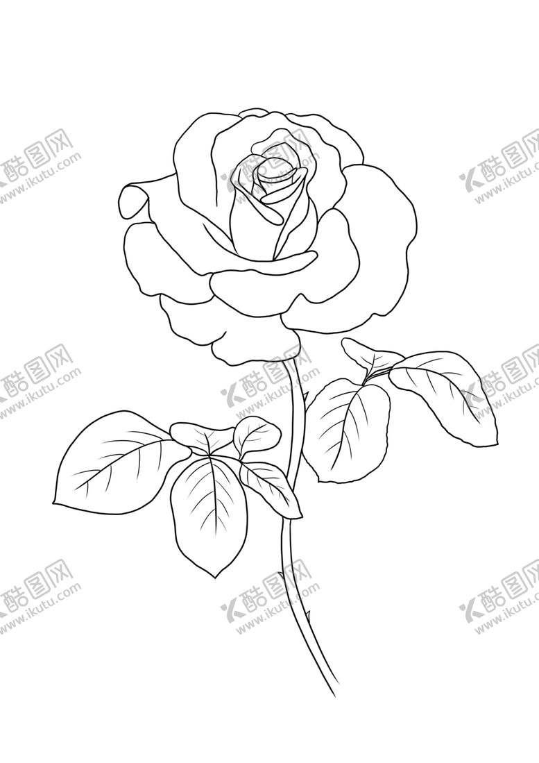 编号：83114305081535414541【酷图网】源文件下载-玫瑰花